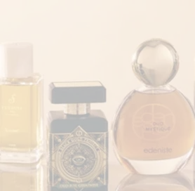 Anisha Agency | BLOG